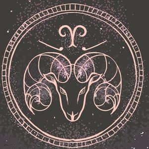 Meet your Posher, Alexus